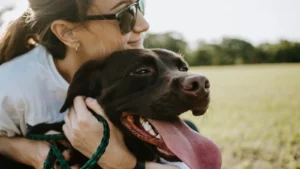 Making a Positive Impact: How CBD Oil Can Help Dogs